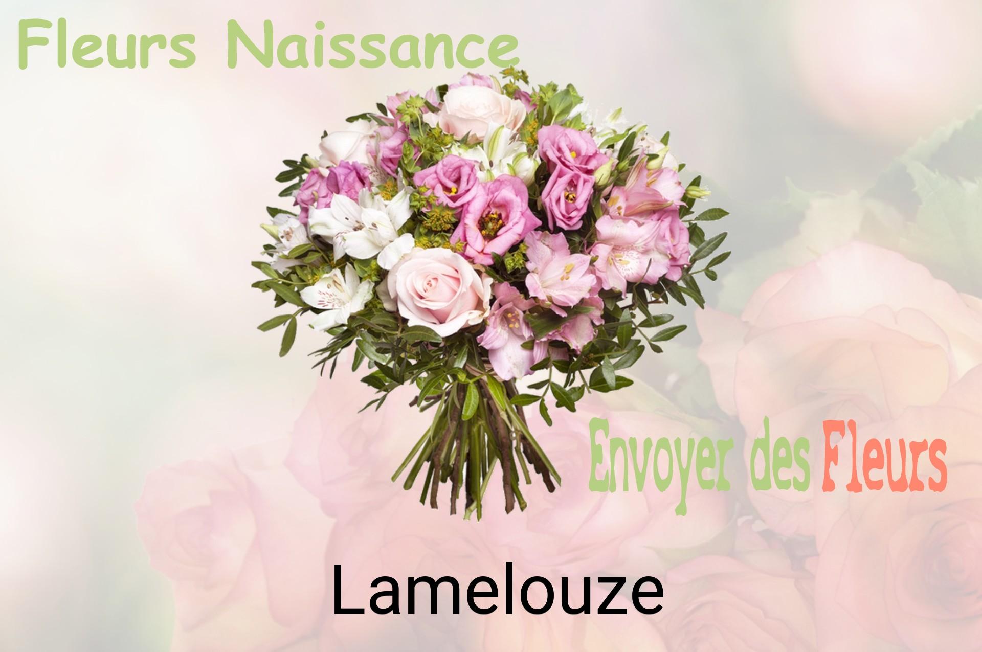 Bouquet de fleurs de naissance livré à Lamelouze